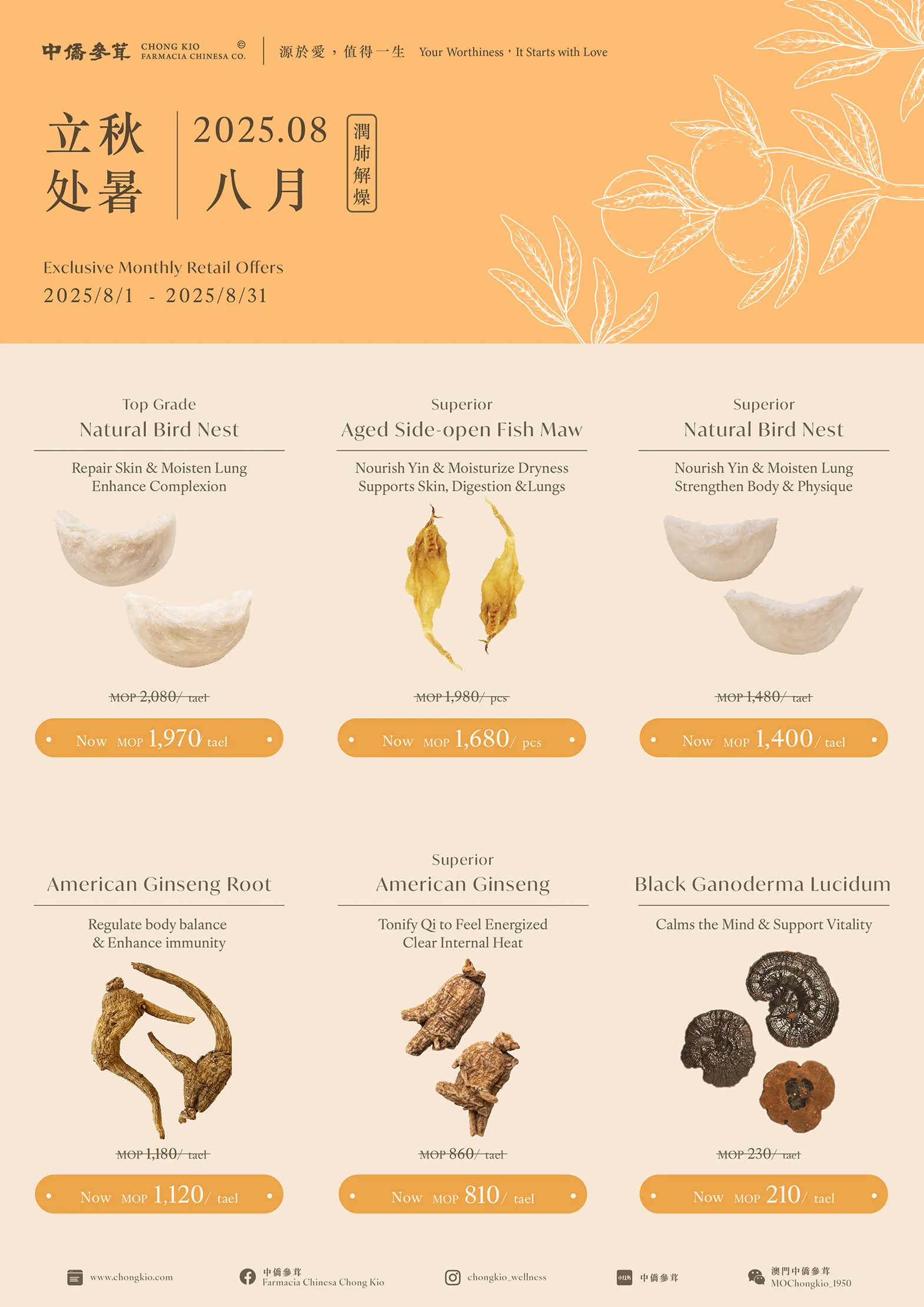 2025.08 | Nourish Lung & Relieve Dryness