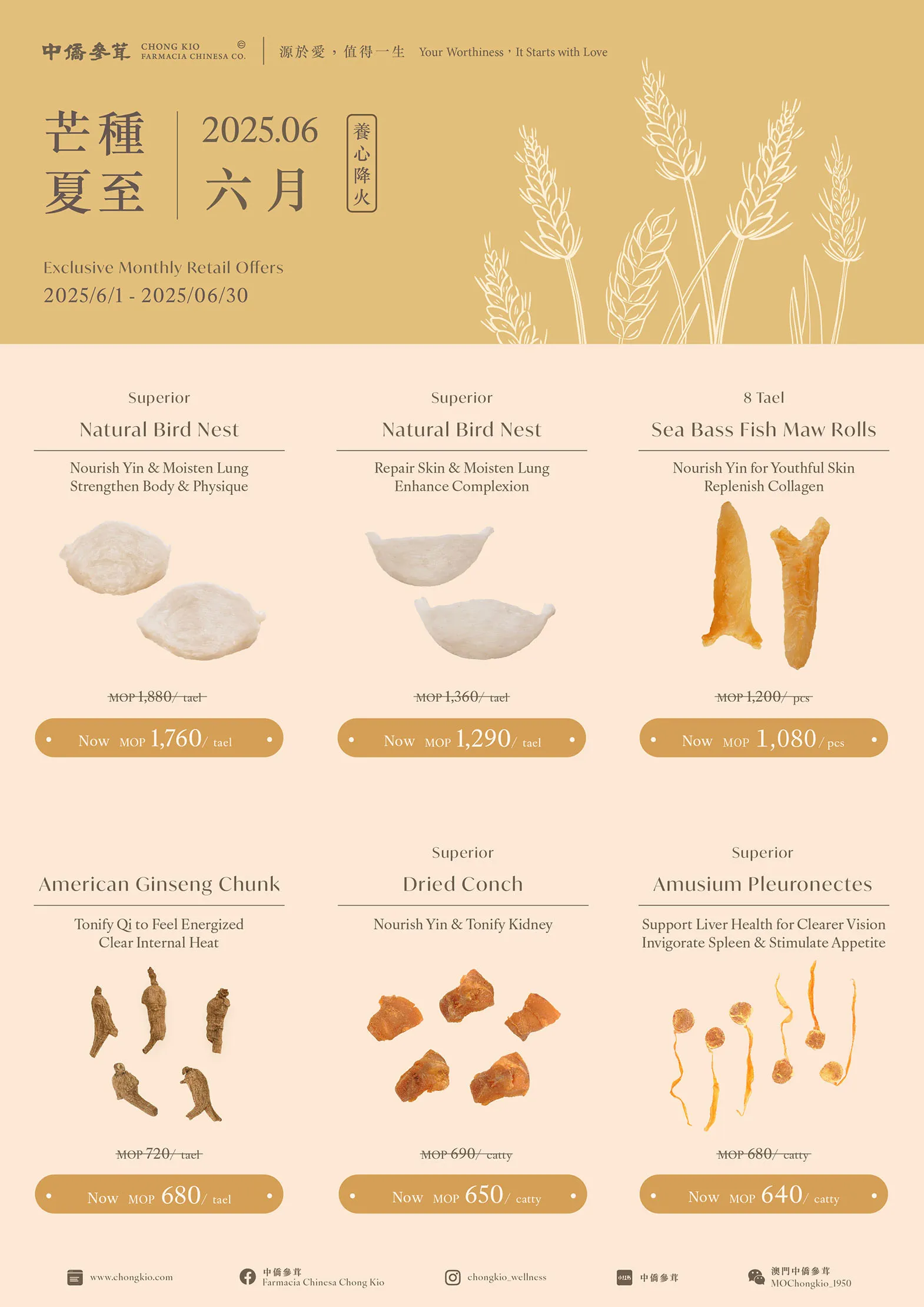 2025.06 | Nourish Heart & Clear Heat