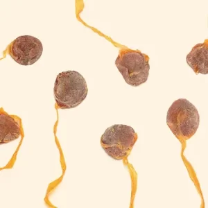 Amusium Pleuronectes