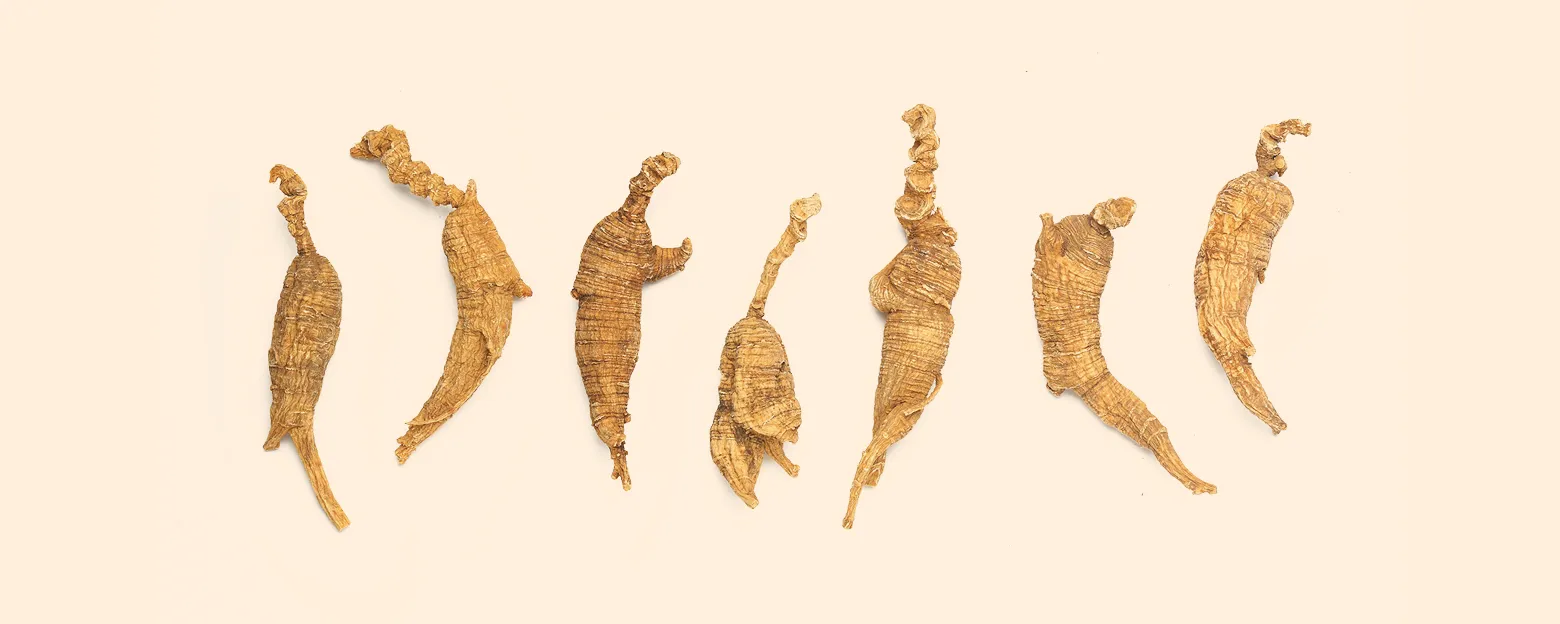 Web_花旗參_Banner_1560x624px_3