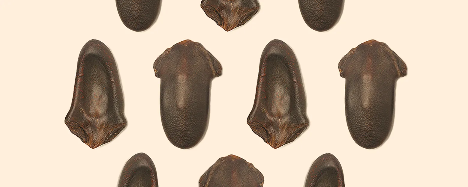 Web_鹿尾羓_Banner_1560x624px_3