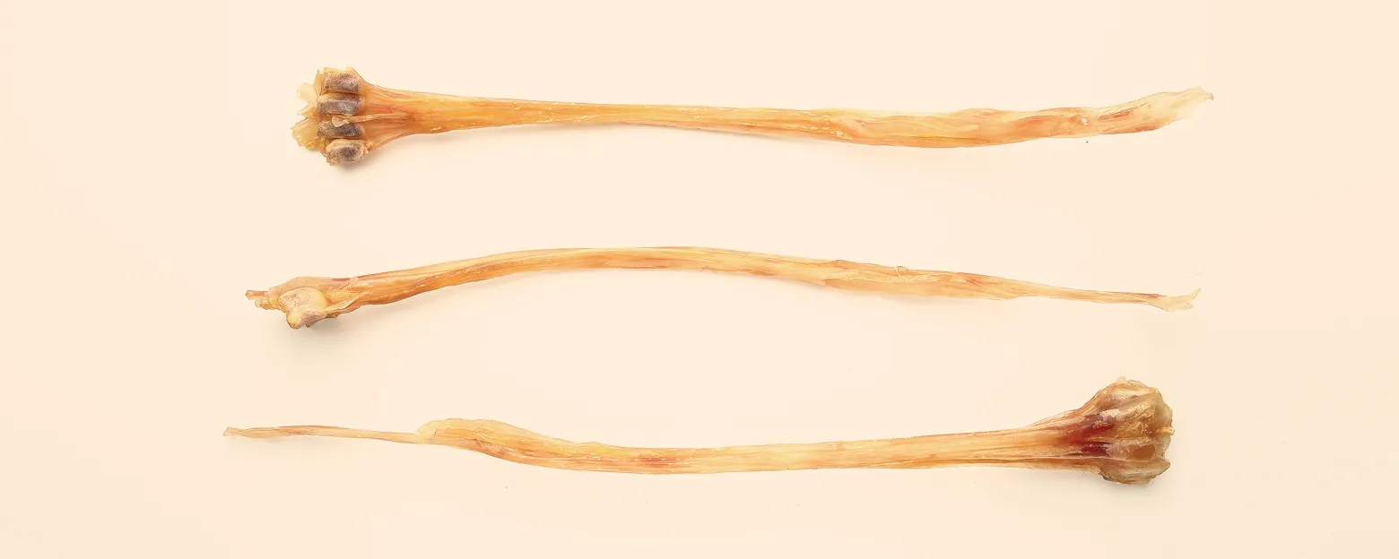 Web_鹿筋_Banner_1560x624px_5