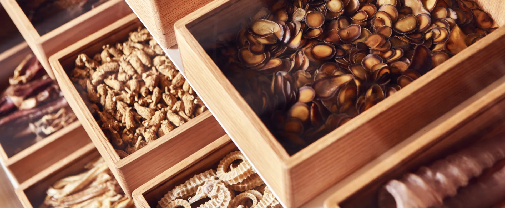 All_Product__Banner_1920x792px_1_