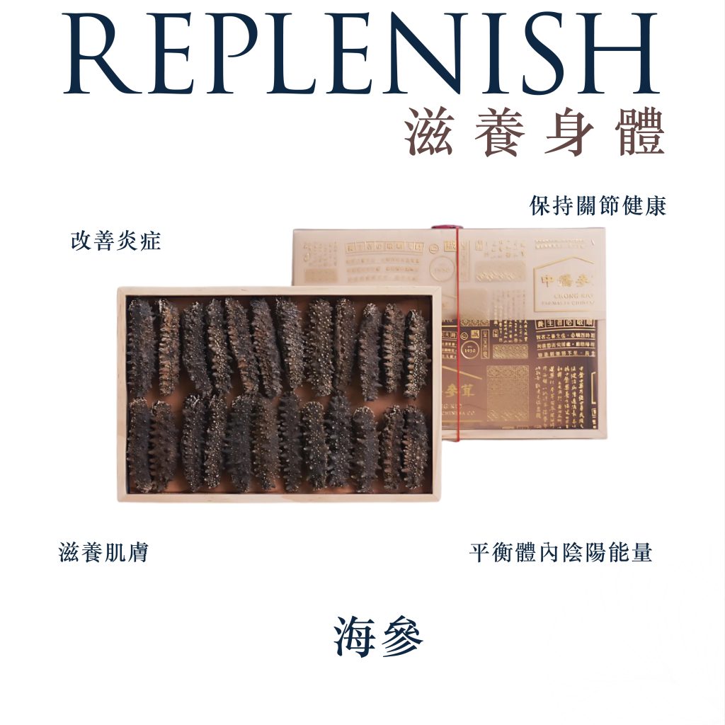 海參｜傳統的滋補珍品，現代補充元氣的恩物