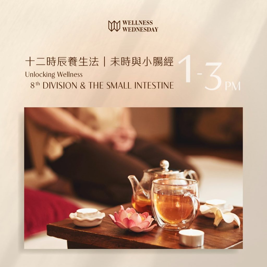 Unlocking Wellness | 8th Division & The Small Intestine