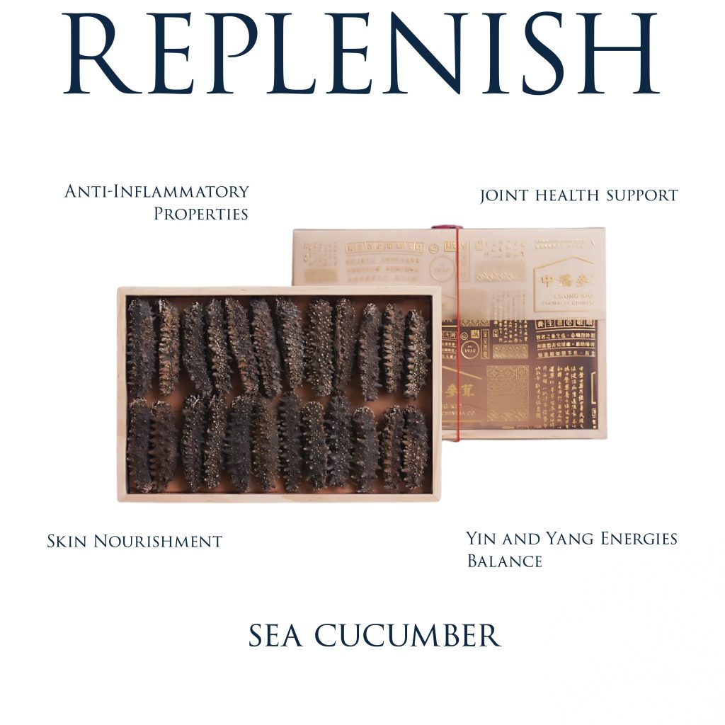 Sea Cucumber | Ancient Wisdom for Modern Vitality