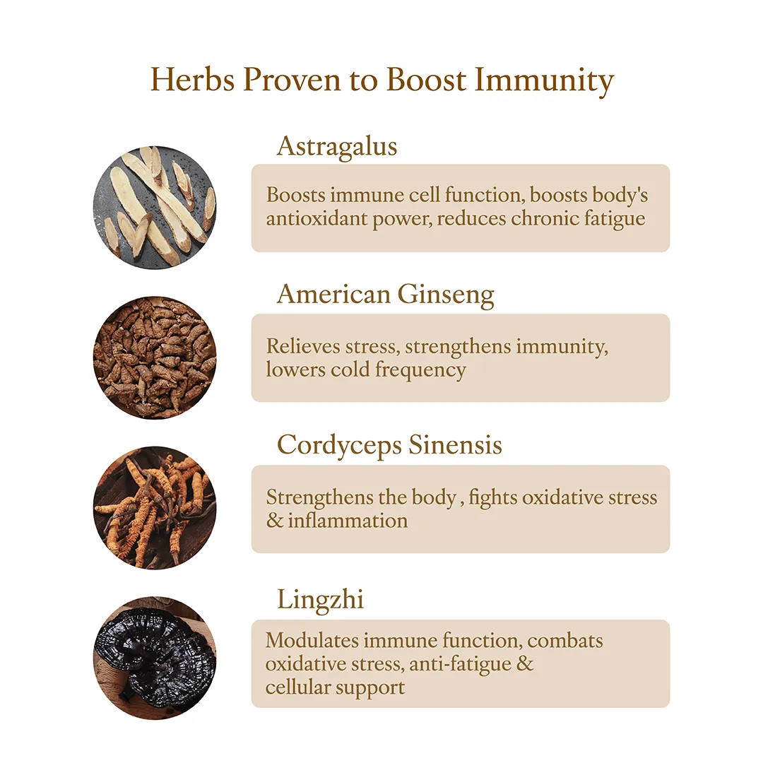 Herbs Proven to Boost Immunity_EN