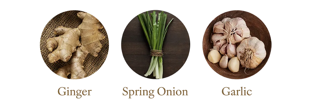 Herbs and Spices_EN