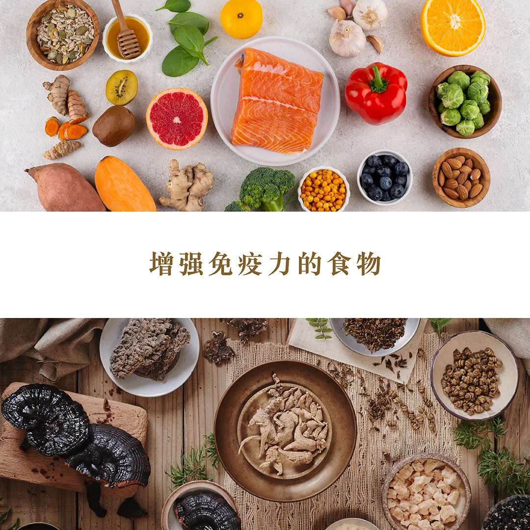Foods That Strengthen Immunity_SC