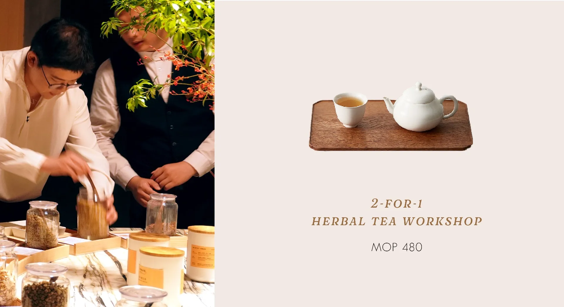 Herbal Tea Workshop Buy 1 free 1