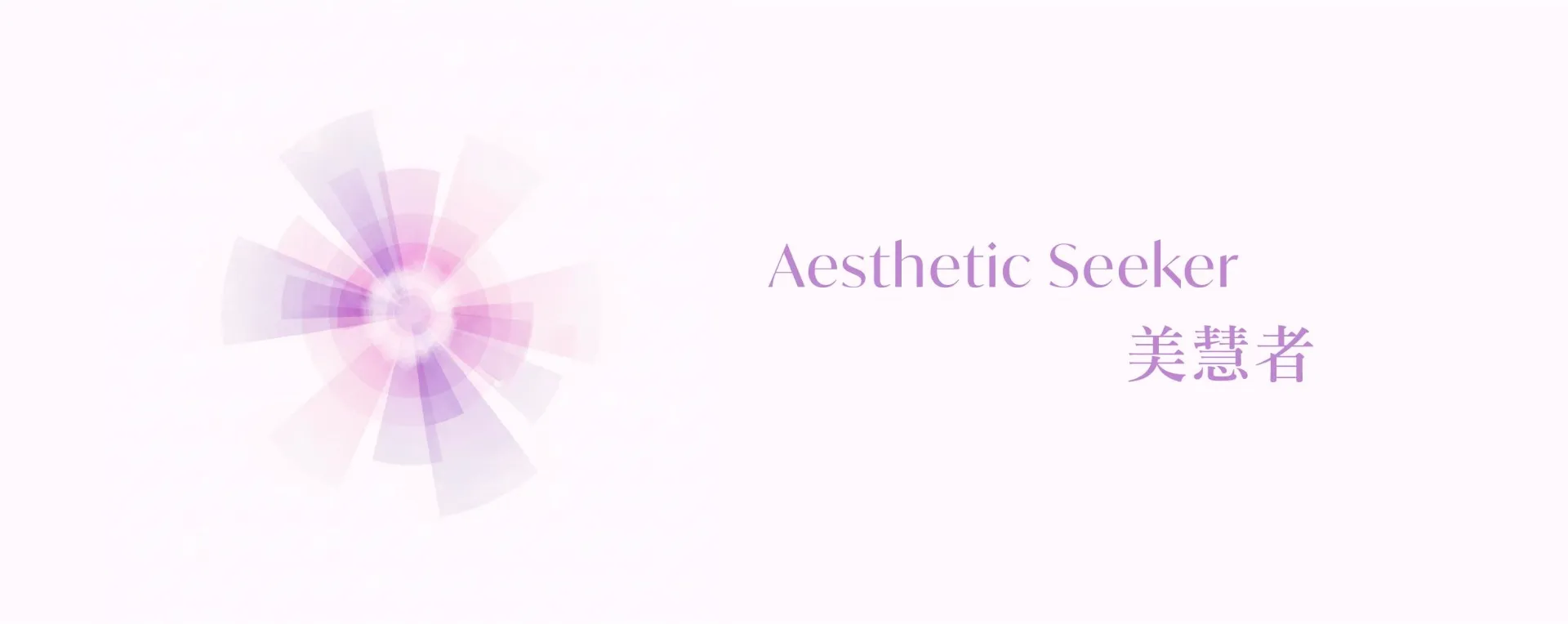 Aesthetic Seeker Aesthetic Seeker
