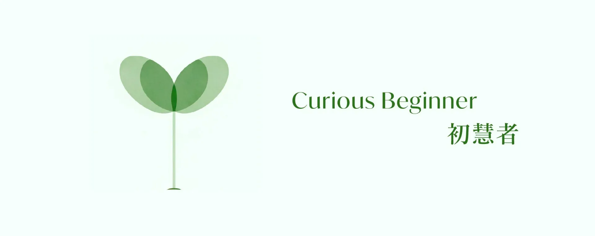 Curious Beginner Curious Beginner
