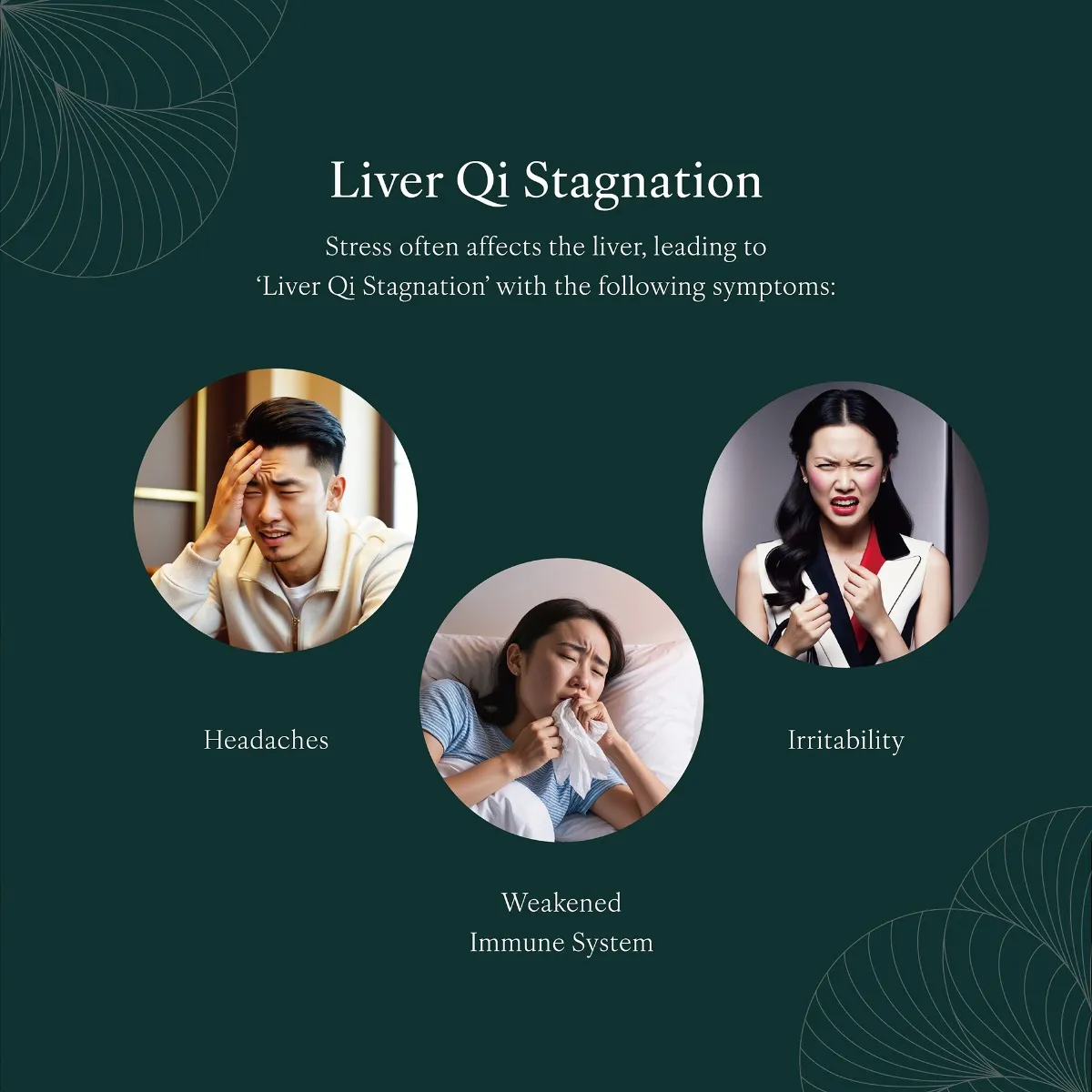 Liver Qi Stagnation EN