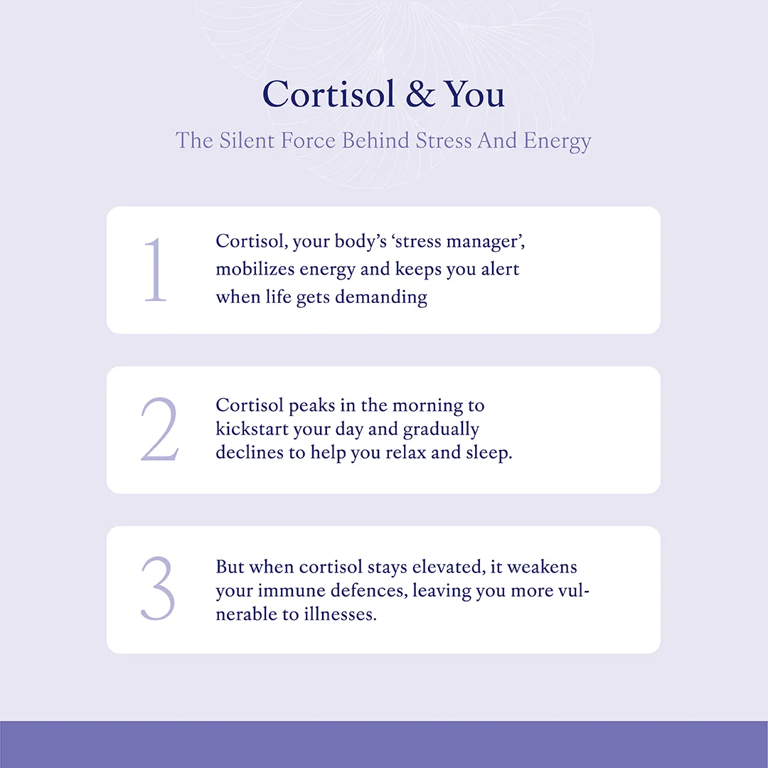cortisol1_EN