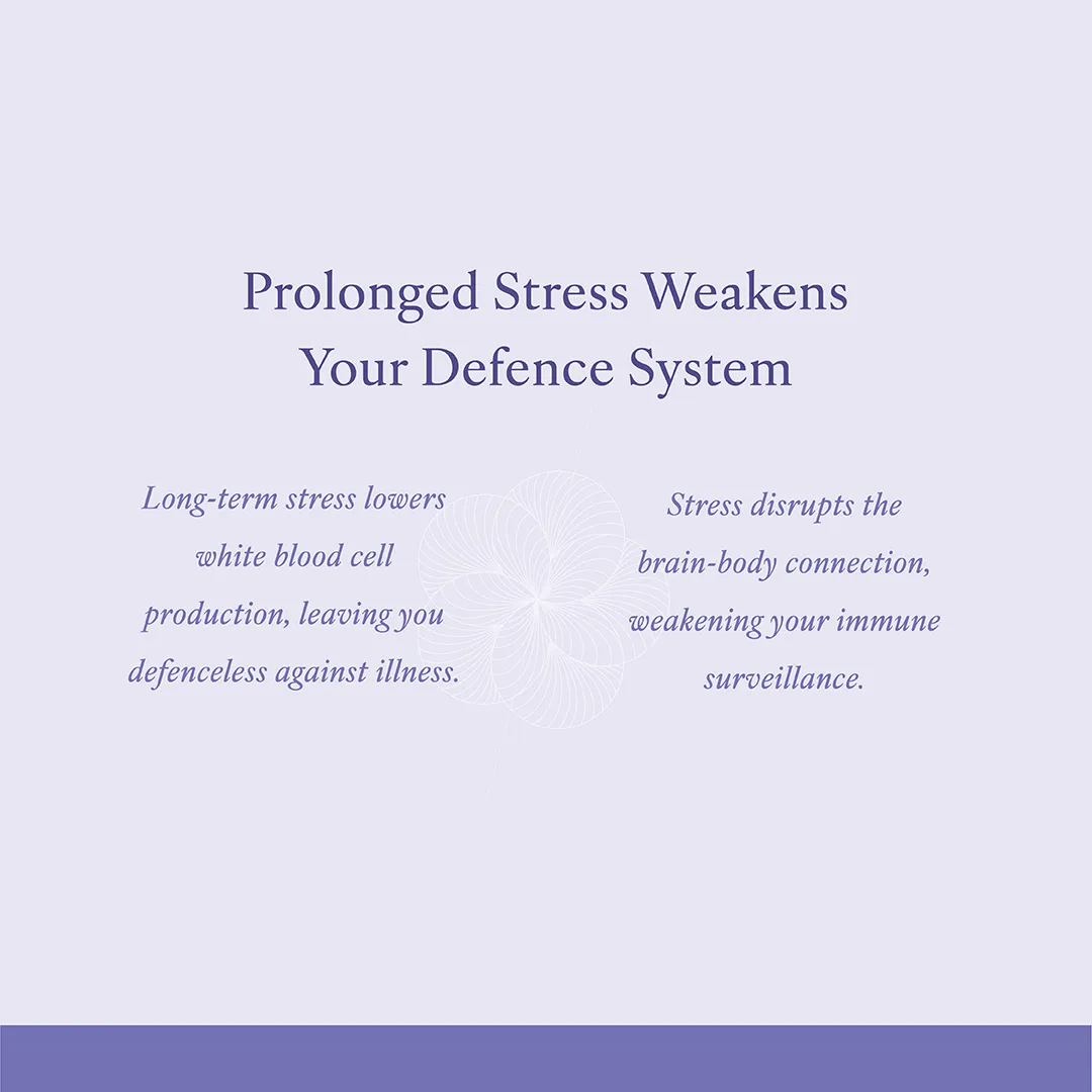 stress3_EN