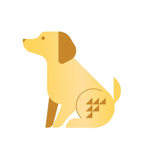 Dog Dog