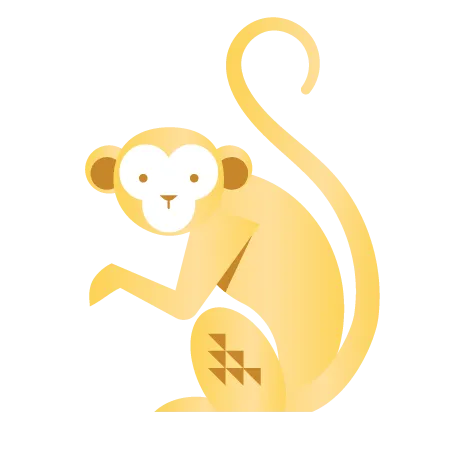 Monkey Monkey